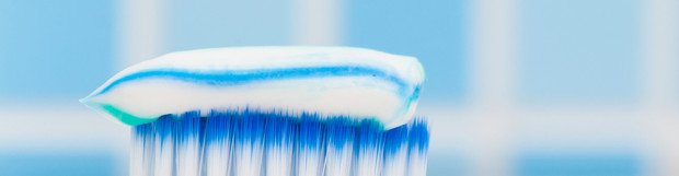 Are there bacteria on your toothbrush?